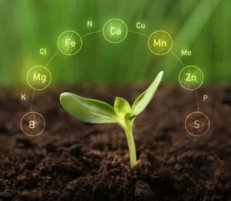 Nutriments