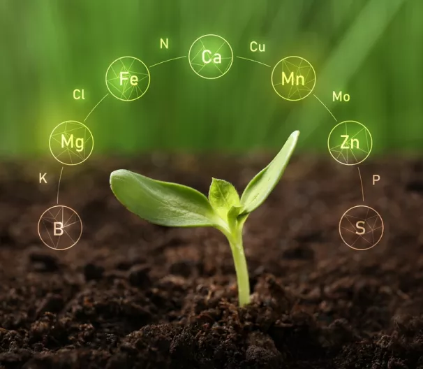 Agriculture durable et biotechnologies agricoles